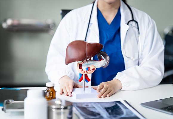 Liver, Pancreas, And Biliary Services